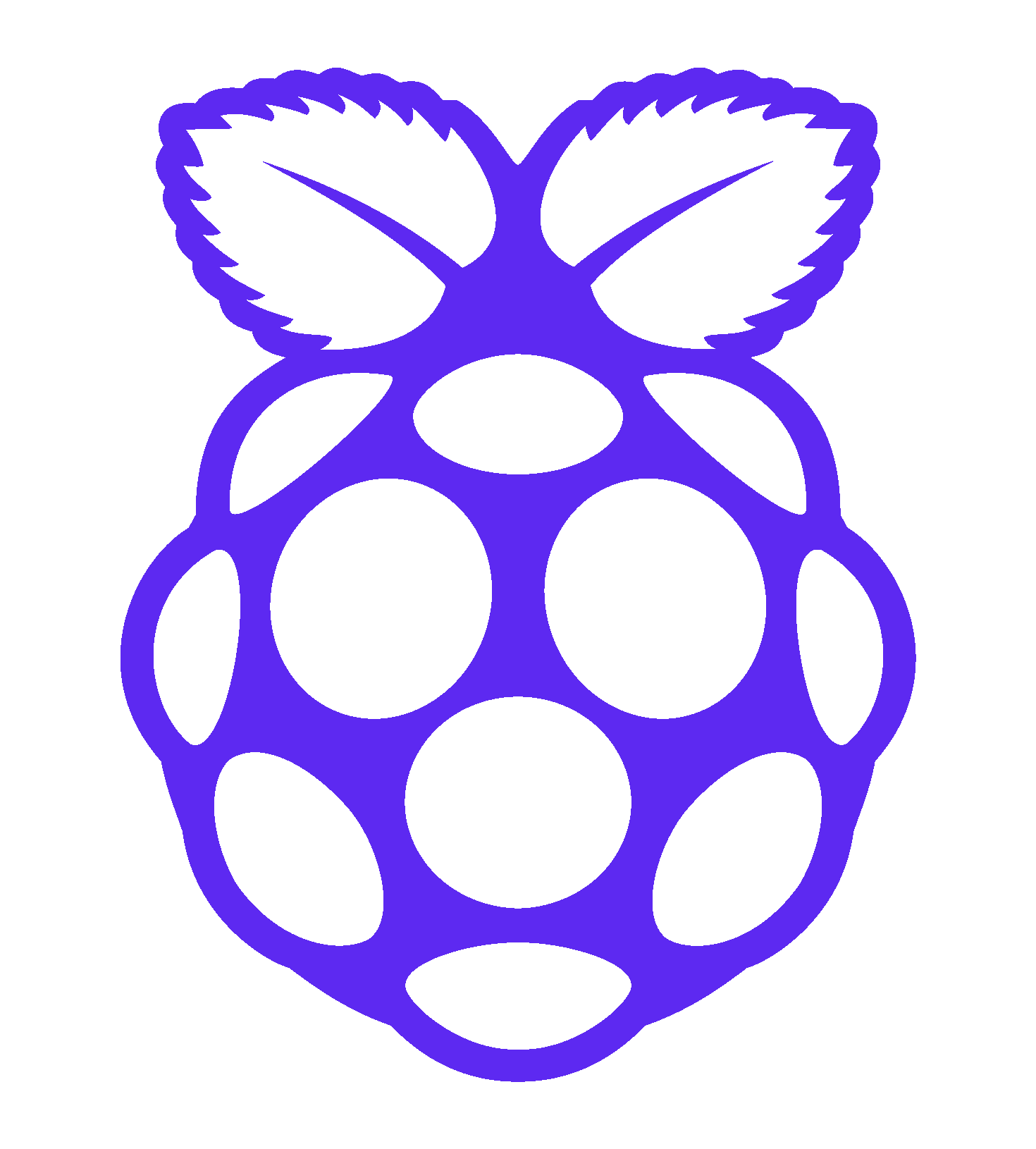 Raspberry Pi